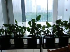 -顺风汤馆·广府粤菜(江宸天街店)