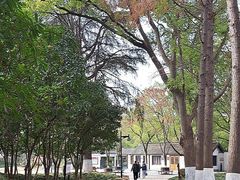 -瀛洲公园
