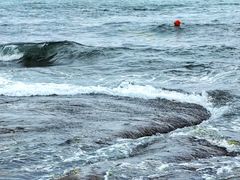 -日照海滨国家森林公园