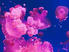 -华夏文旅西安度假区