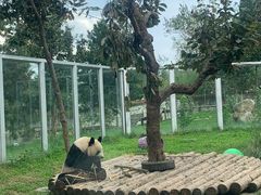 -西安秦岭野生动物园