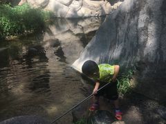 -碓臼峪自然风景区