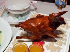 -大鸽饭(岗顶店)