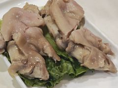 -丁老爷子苏香圆