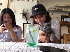 -海边的猫和咖啡馆