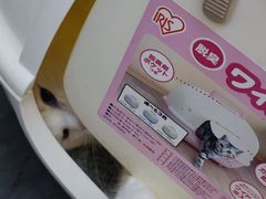 -萌兽医馆·眼科·异宠专科(三里屯店)