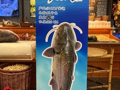 -许爷家·生态湖鲜(徐汇日月光店)