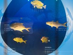 -广州市城市规划展览中心