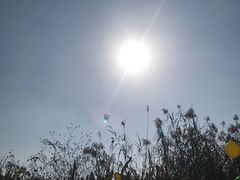 -白鹭湾湿地公园