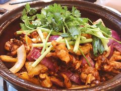 -胡须佬鸡煲四季火锅(龙珠大道店)