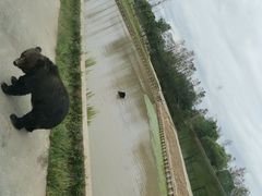 -上海野生动物园
