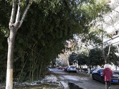 -金陵中学(河西分校)