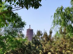 -永定河休闲森林公园