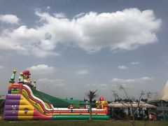 -紫颐香薰山谷景区