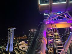 -新加坡摩天观景轮