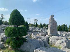 -原山国家森林公园