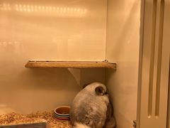 -龙猫仔乐园(惠福东路店)