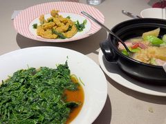 -圆苑(静安寺店)