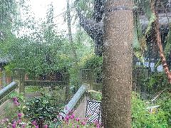 -大妙火锅·非物质文化遗产(东湖公园店)