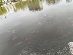 -文瀛公园