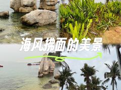 -大梅沙海滨公园