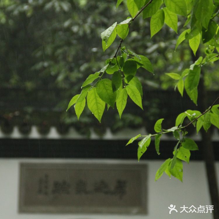 本杭州人竟然从来没有去过虎跑公园！