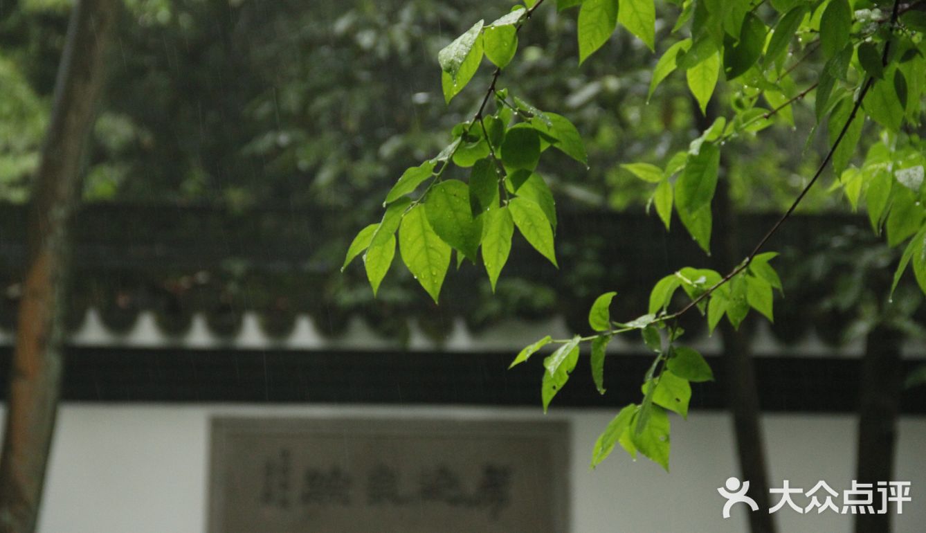 本杭州人竟然从来没有去过虎跑公园！