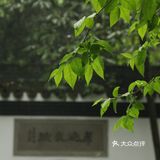 本杭州人竟然从来没有去过虎跑公园！
