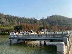 -顺峰山公园
