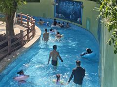 -重庆海昌加勒比海水世界