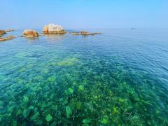 -海岛日记(养马岛店)