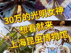 -上海昆虫博物馆