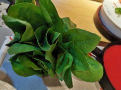 -渡娘火锅(大兴大悦春风里店)