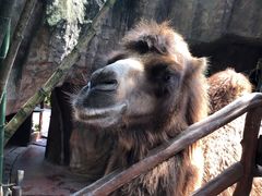 -长鹿旅游休博园