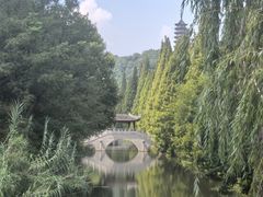 -焦山风景区