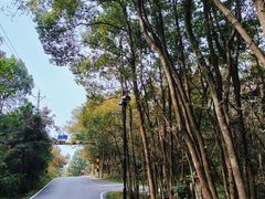 -青龙山国家森林公园