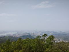 -水濂山森林公园