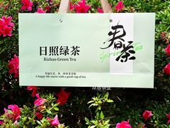 -渡海小渔村.老辈日照菜