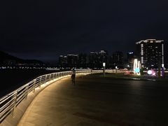 -野狸岛