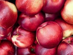 -浦江城市生活广场(江月路店)