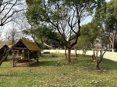 -合肥野生动物园