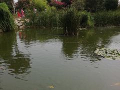 -武汉紫薇都市田园