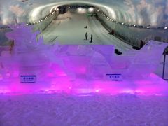 android_upload_pic-世界之窗阿尔卑斯冰雪世界