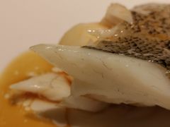 清蒸鲈鱼-觅唐MITONG(鸟巢店)