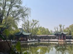 -MAP CHA普洱茶馆(翠湖店)