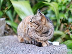 -广州市白云山风景名胜区