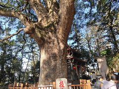 -安溪清水岩