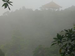 -广州市帽峰山景区