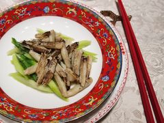 -新光酒家·河豚·海鲜·蟹料理(浦东店)