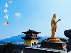 -东林大佛